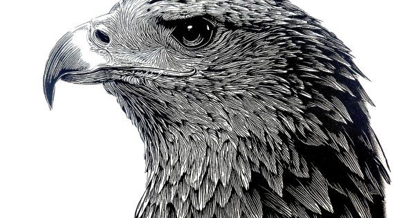 Introducing New and Improved Ultimate Black™